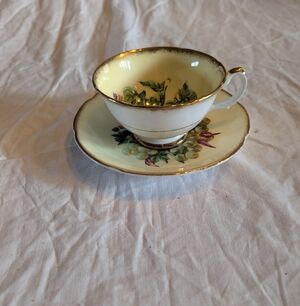 2/40$ Vintage Gold-Trimmed Fruit Teacup and Saucer Set